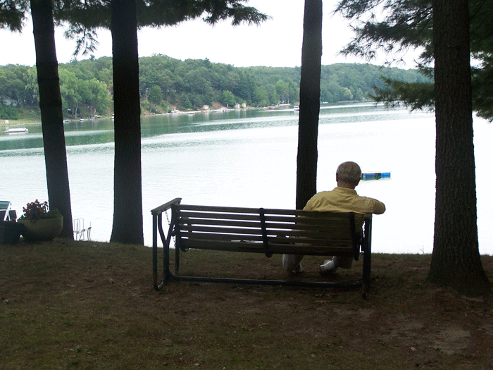 Reading by the lake